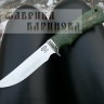 Нож Рысь-1 (сталь 95х18) ст. карельская береза, мельхиор. фото 1 &mdash; Фабрика Баринова